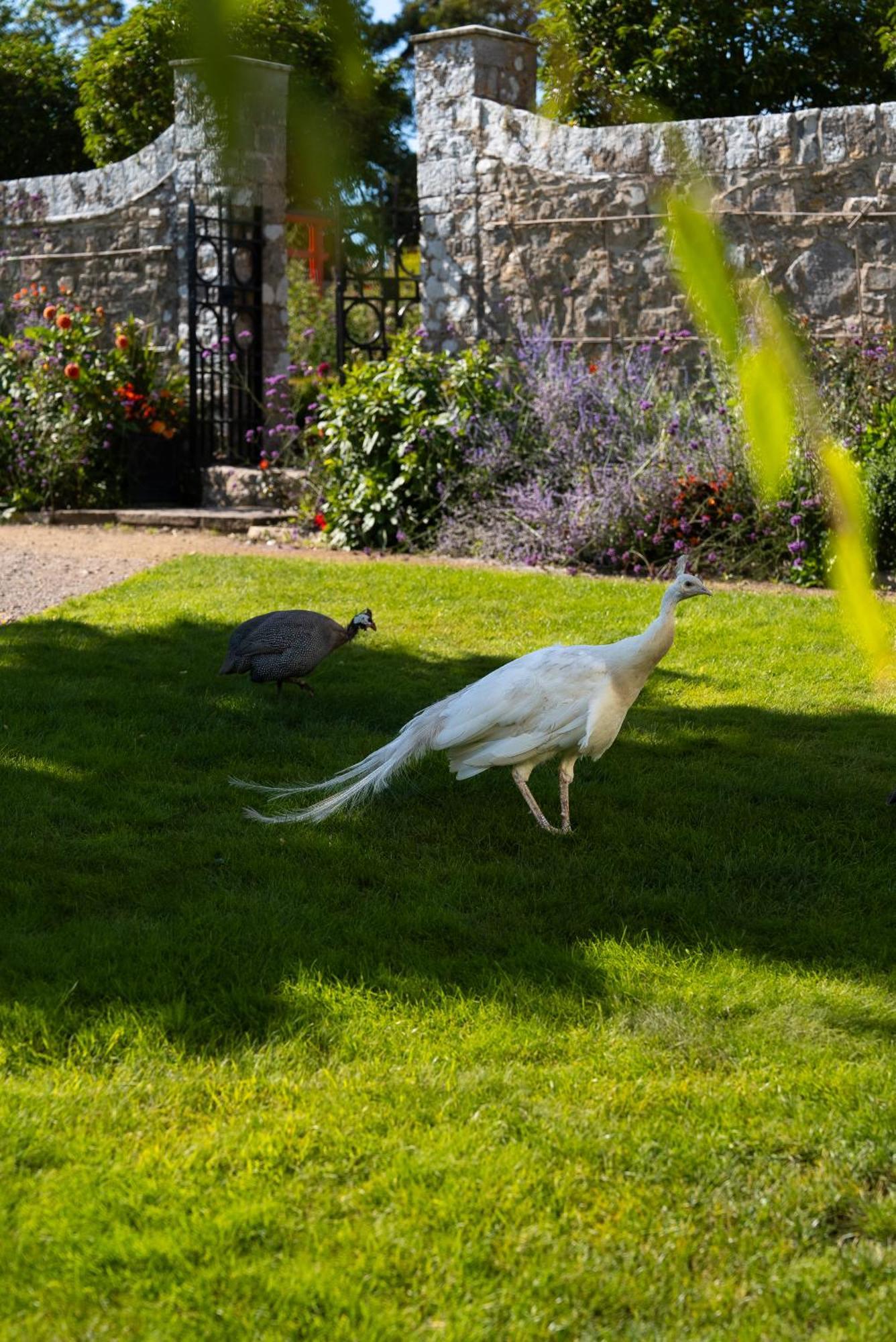 Gileston Manor Luxury B&B Barry Eksteriør bilde